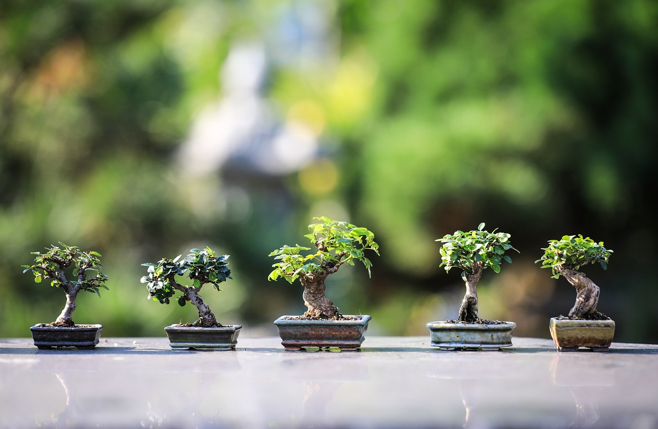 Why Vertical Gardens are Crucial for Urban Green Spaces